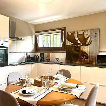 Appartamento Style Avec Grande Terrasse Et Parking Prive Chamonix